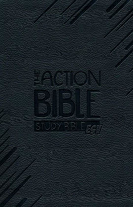 Picture of Action Bible ESV Study - Slate Grey