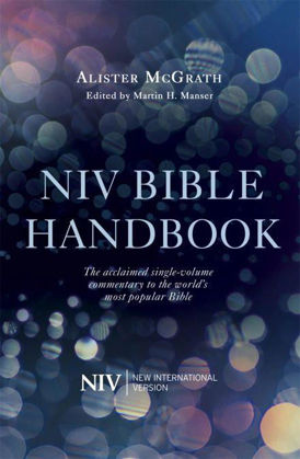 Picture of NIV Bible handbook