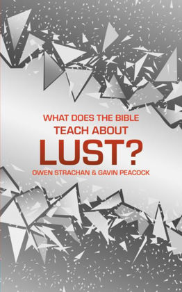 Picture of What does the bible teach about Lust?