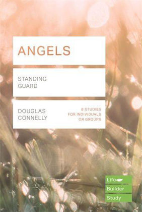 Picture of Angels (Lifebuilder)