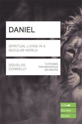 Picture of Daniel (Lifebuilder)