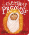 Picture of Christmas promise The