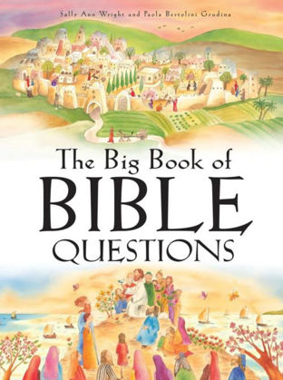 Picture of Big book of bible questions