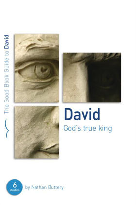 Picture of David: God's true king (Good book guide)