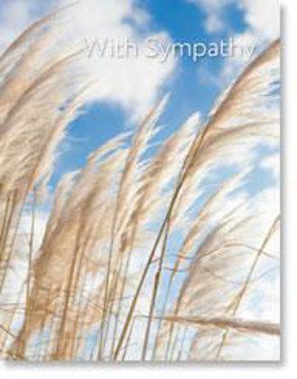 Picture of Pampas grasses