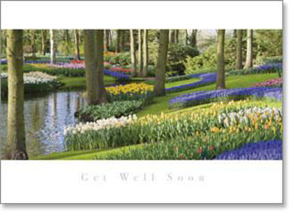 Picture of Inspire - Keukenhof