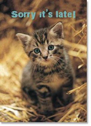 Picture of Belated - kitten in straw