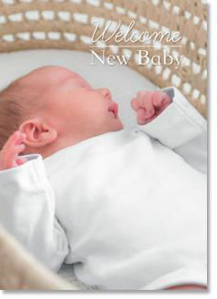 Picture of Baby in moses basket