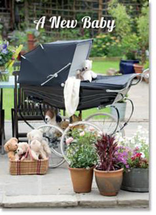 Picture of Pram in garden