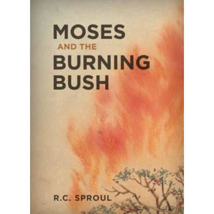 Picture of Moses and the burning bush