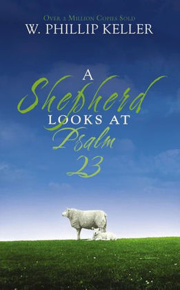 Picture of Shepherd looks at Psalm 23 (Mass market)