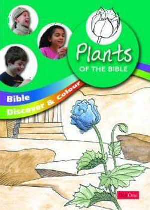 Picture of Bible discover and colour: Plants