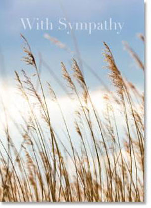 Picture of Evening grasses