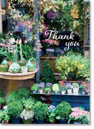 Picture of Parisian florist shop