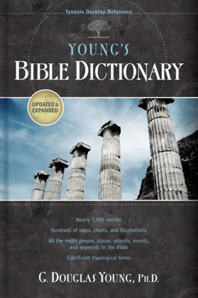 Picture of Young's Bible dictionary