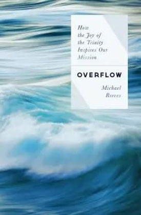 Picture of Overflow