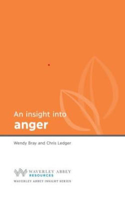 Picture of Insight into Anger