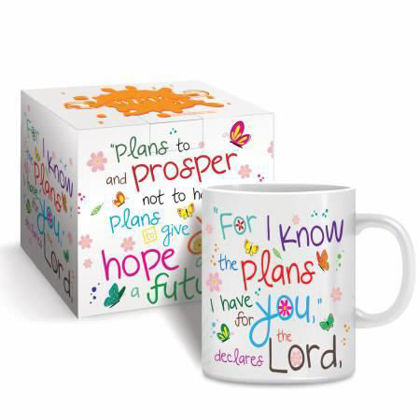 Picture of I know the plans I have mug and gift box