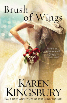 Picture of Brush of wings (Angels walking #3)