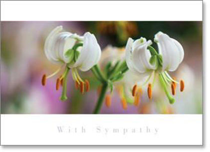 Picture of Inspire - Close up white lilies