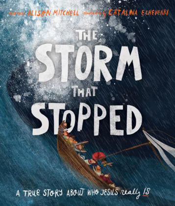 Picture of The Storm that stopped (Tales that tell the truth)