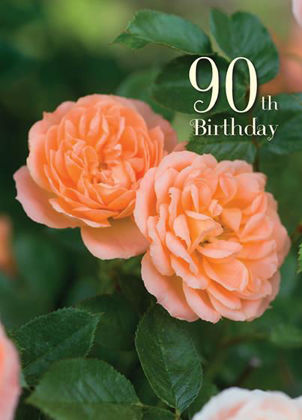 Picture of 90 - Elegant peach roses