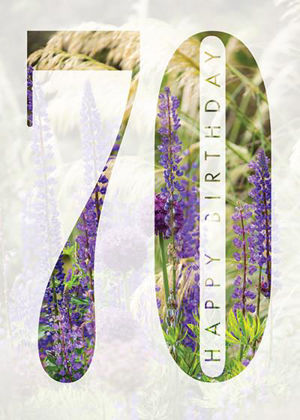 Picture of 70th - Summer border