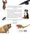 Picture of All about ... bible animals