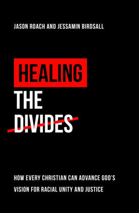 Picture of Healing the Divides