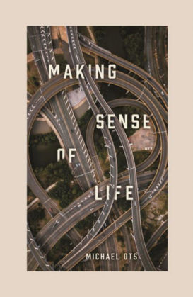 Picture of Making sense of life