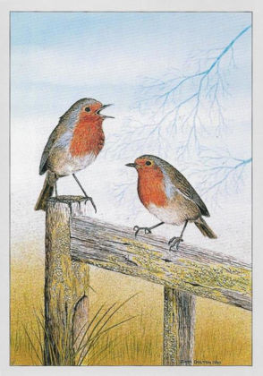 Picture of Robins