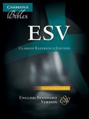 Picture of ESV Clarion Ref Black Calf Split Leather