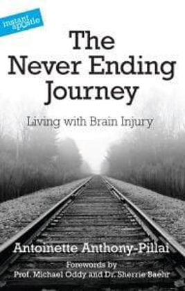 Picture of Never Ending Journey, the