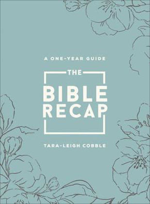 Picture of Bible Recap Deluxe (Sage Floral)