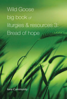 Picture of Big Book of Liturgies & Resources 3