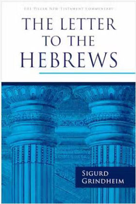 Picture of Letter to the Hebrews (Pillar)