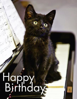 Picture of Black kitten on piano