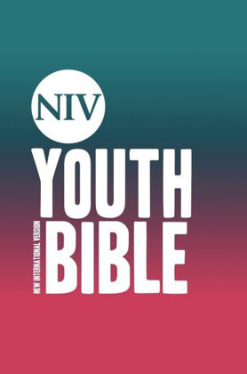 Picture of NIV Youth bible