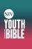 Picture of NIV Youth bible